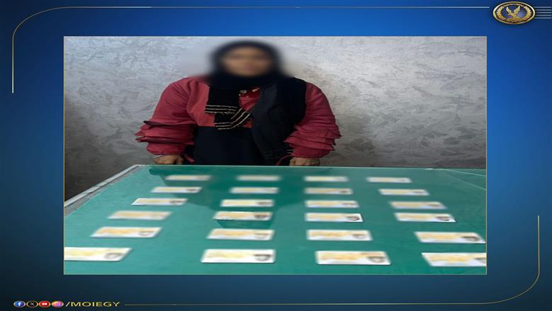 ضبط سيدة تجمع بطاقات هوية الناخبين للتصويت لمرشح في دائرة بقنا