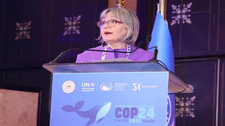 الشق الوزاري لـ COP24 يشهد استعراضًا شاملًا لخطط حماية بيئة البحر المتوسط 