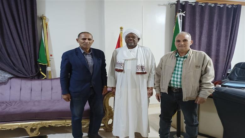 جامعة أسوان
