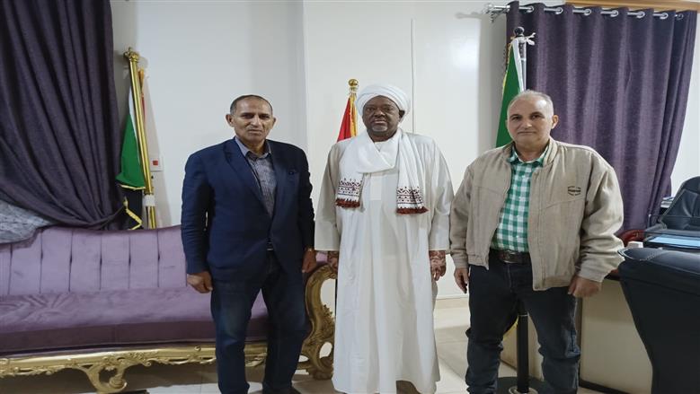 جامعة أسوان
