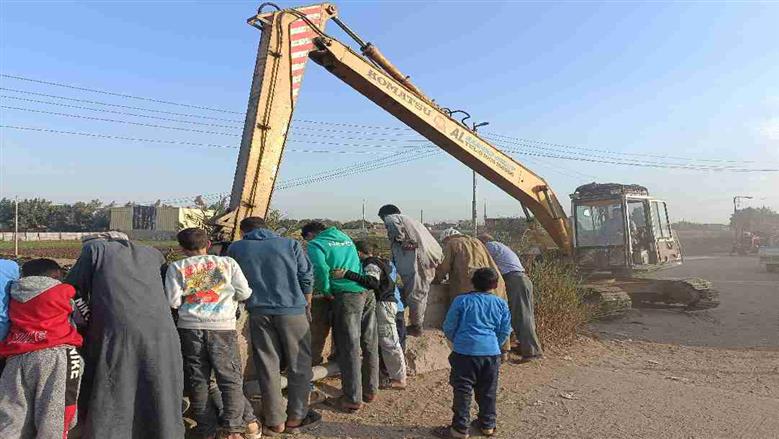 القصة الكاملة للعثور على تماسيح داخل مصرف بلبيس.. الأهالي يروون التفاصيل وتحرك من الأجهزة التنفيذية