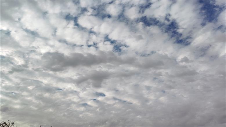 محافظة أسوان