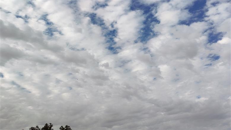 محافظة أسوان