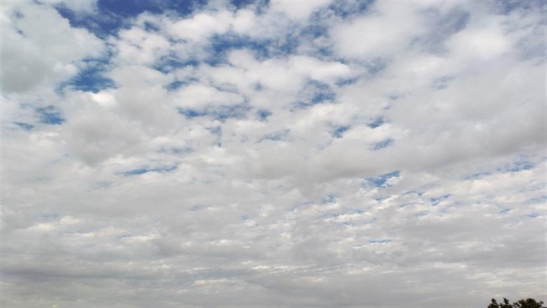 محافظة أسوان