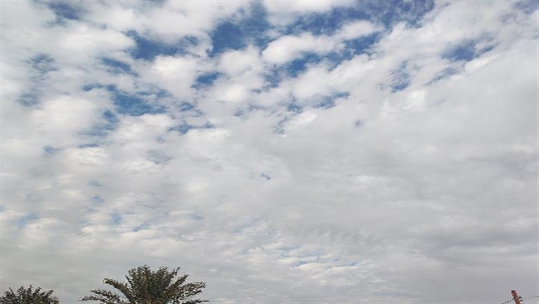 محافظة أسوان