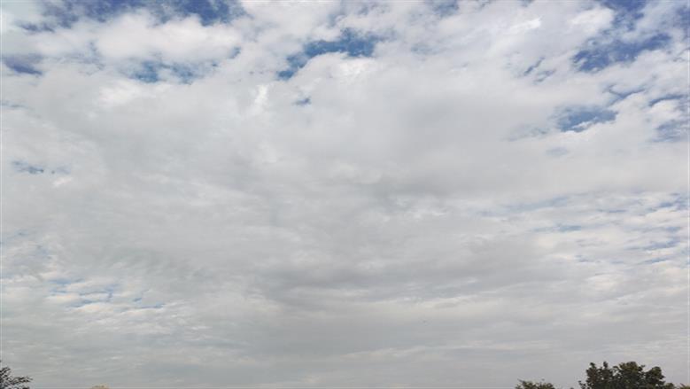 محافظة أسوان
