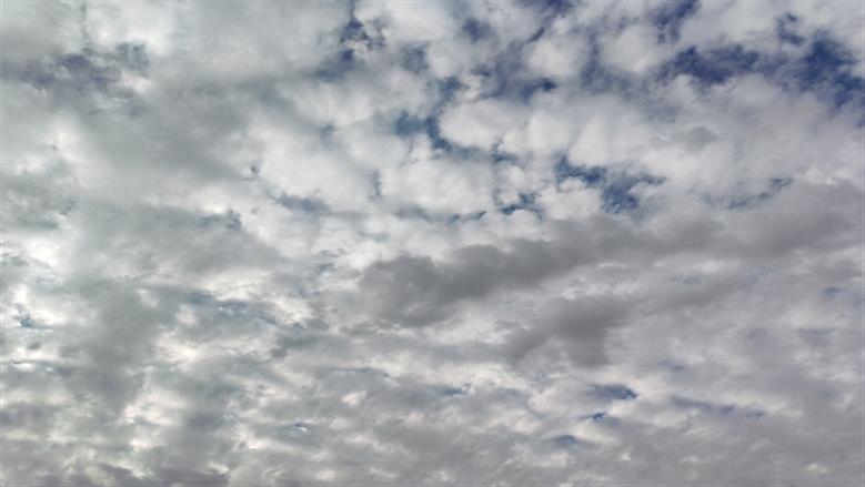 سماء أسوان ملبدة بالغيوم.. أمطار محتملة خلال الساعات المقبلة