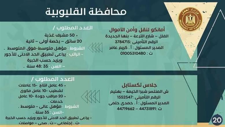 وظائف مديرية العمل بالقليوبية
