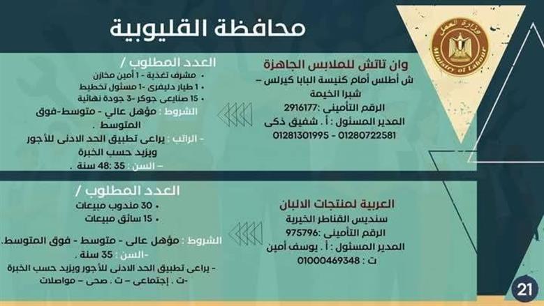 وظائف مديرية العمل بالقليوبية