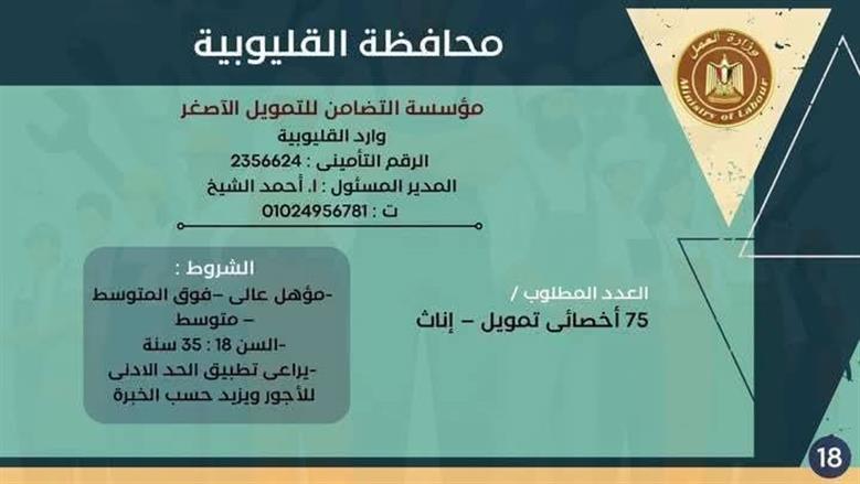 وظائف مديرية العمل بالقليوبية