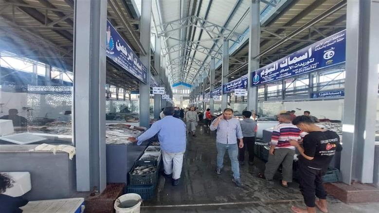 أسعار السمك في أسواق الغردقة اليوم 6-12-2025.. البلطي بـ85 جنيها