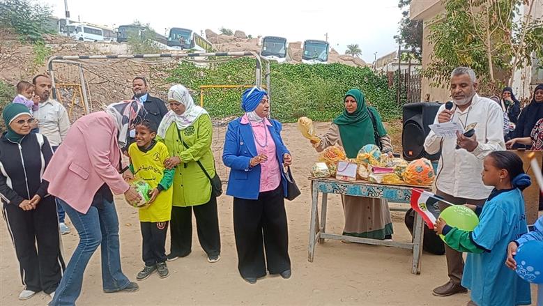 محافظة أسوان 