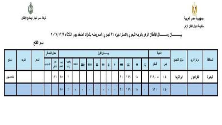 المنوفية