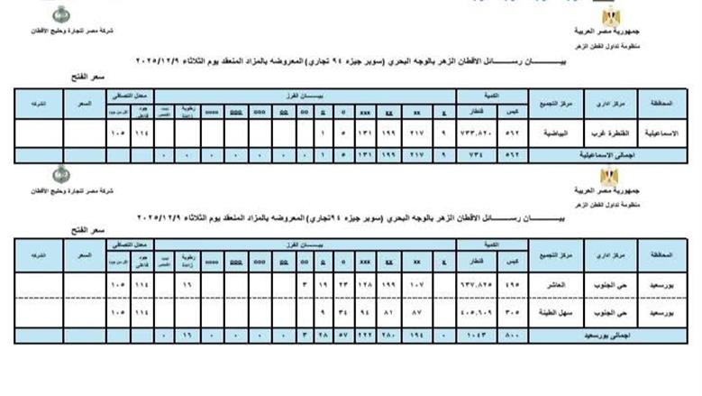 المنوفية
