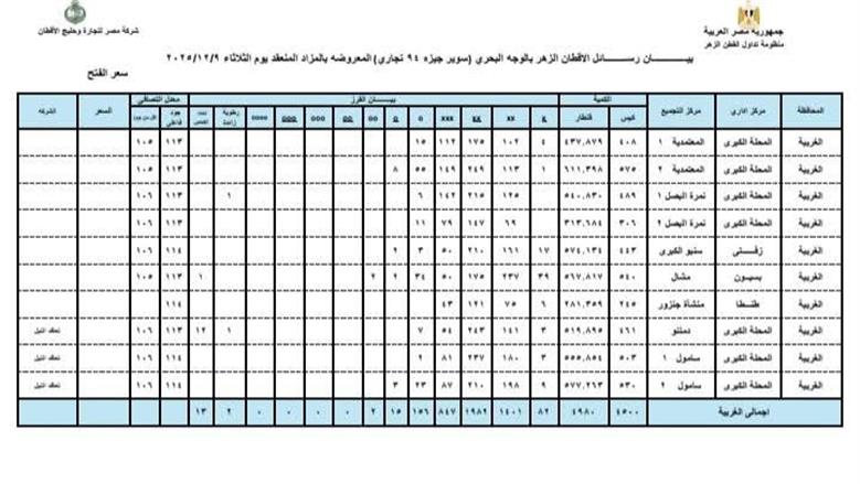 المنوفية