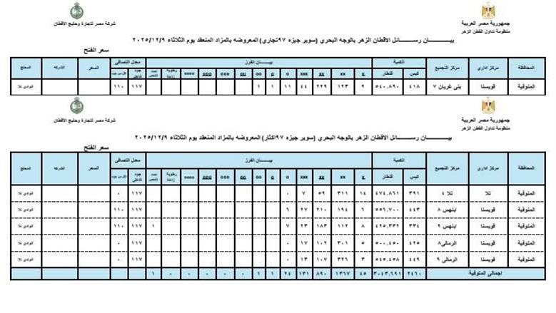 المنوفية
