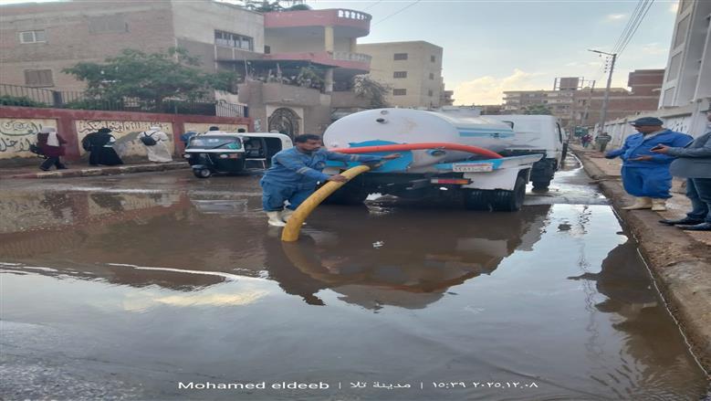 المنوفية