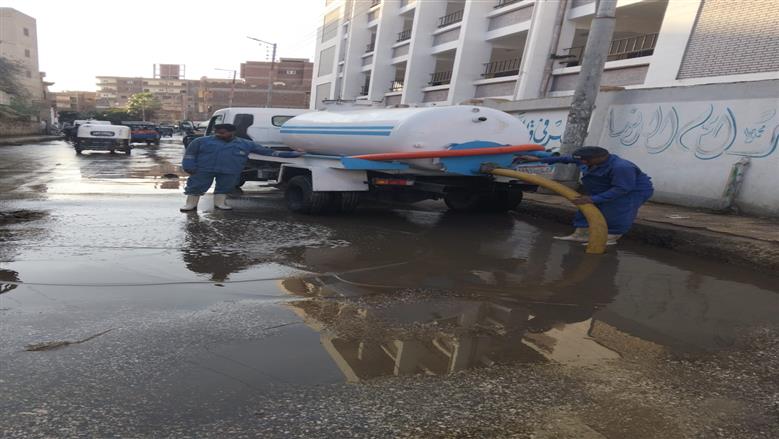 المنوفية