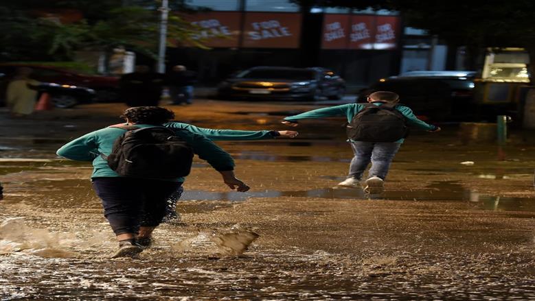 فرحة المصريين بالأجواء الشتوية.. مشاهد من هطول الأمطار في محافظة الجيزة