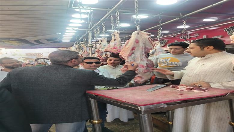 حملات بيطرية مكثفة في شوارع الفيوم