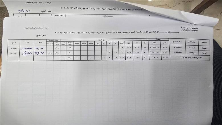 المنوفية