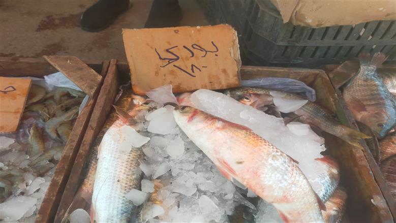 سوق اليوم الواحد 