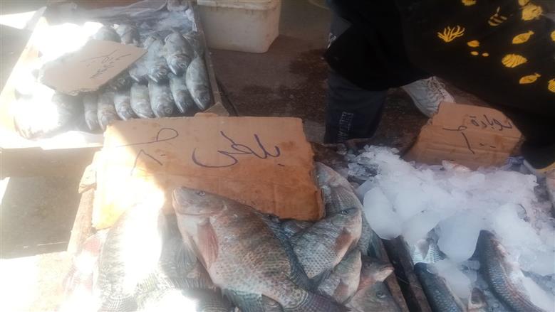 سوق اليوم الواحد 