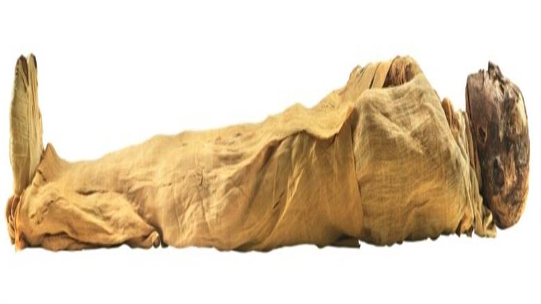 الملك رمسيس الثالث