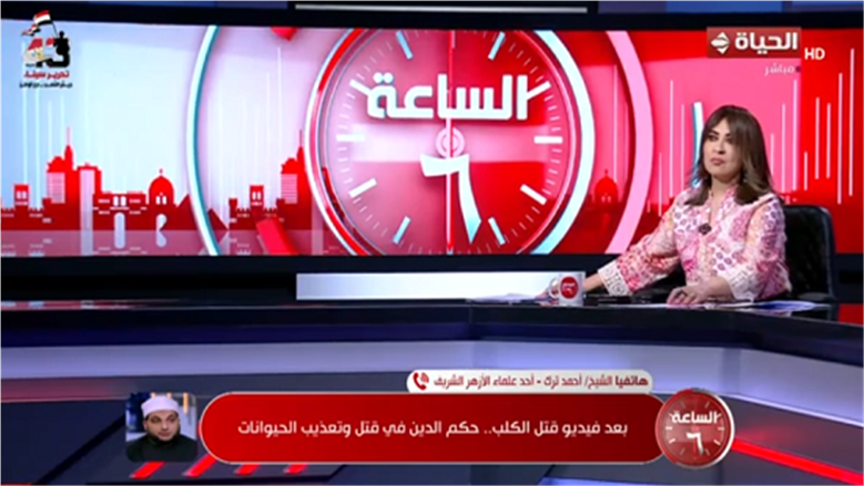 عالم أزهري: قتل الكائنات الحية دون أذى «فساد في الأرض» ويعد من الكبائر 