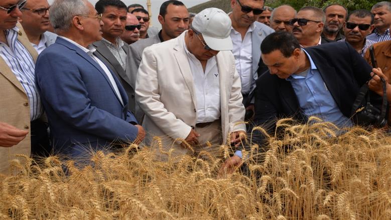 محافظ الدقهلية
