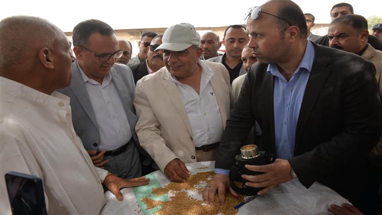 توريد القمح