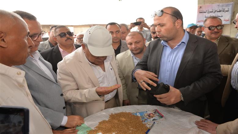 توريد القمح