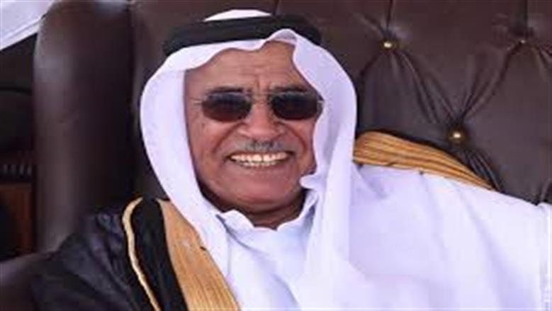 عبد الله جهامة: ما حدث في سيناء إعجاز تنموي مدعوم بجهود الدولة وصبر أهلها