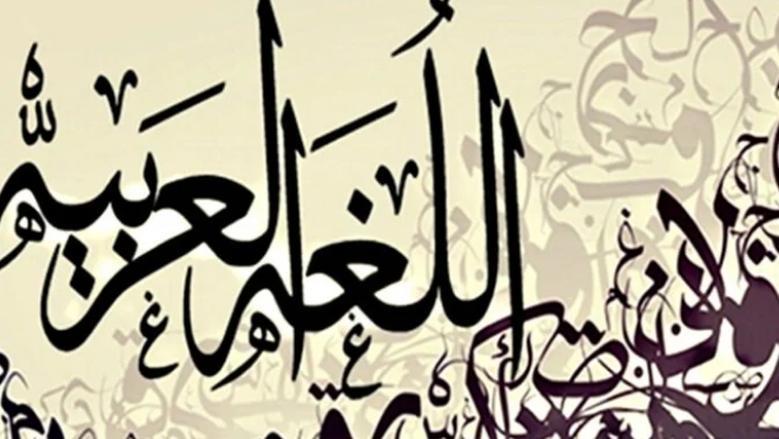 حُماة الضاد.. حملة مجانية لتقوية اللغة العربية لدى الأطفال