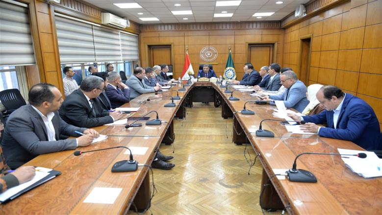 محافظ الدقهلية 