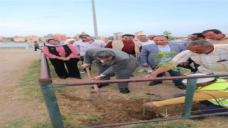 محافظ دمياط في مبادرة 100 مليون شجرة