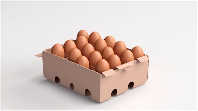 البيض