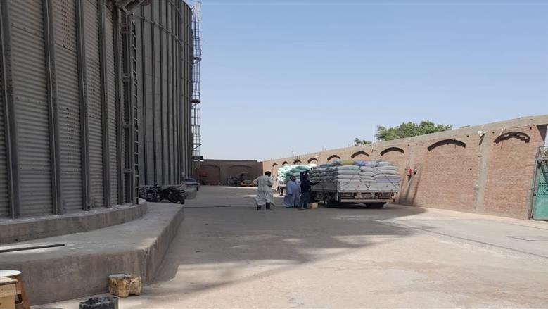 المنوفية