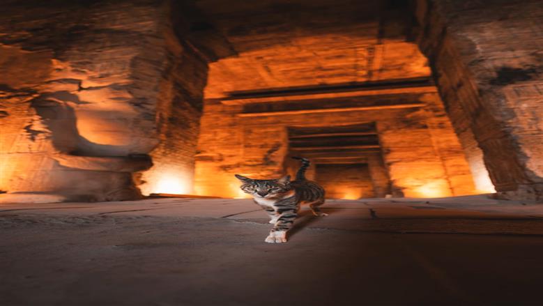 قط معبد دندرة 