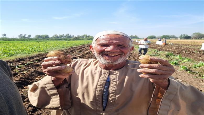 المنوفية 