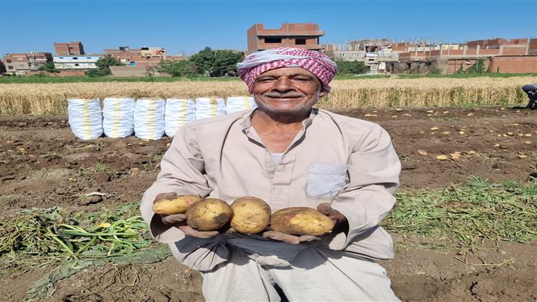 المنوفية 