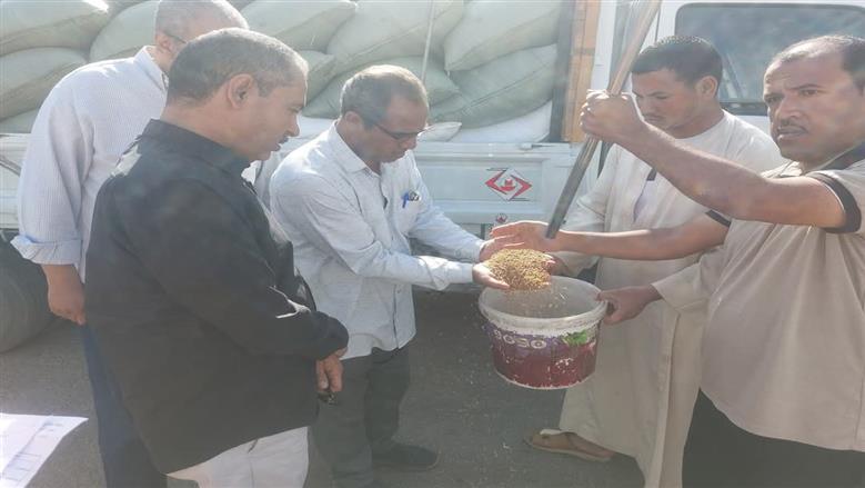 توريد القمح في أسيوط