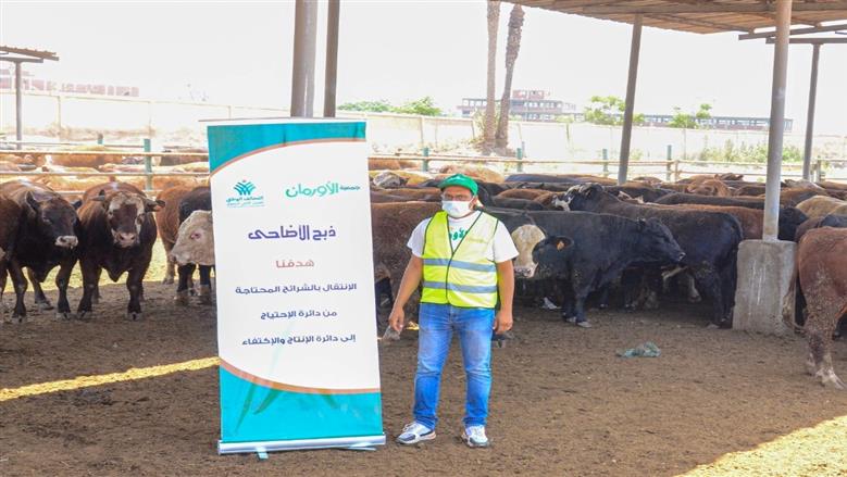 توزيع 70 ألف كيلو لحوم أضاحي و175 عجل بلدي على الأسر الأولى بالرعاية في الغربية  