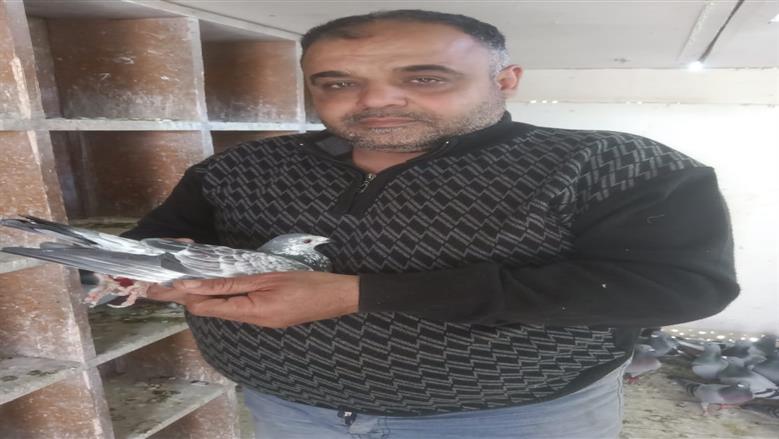 «عماد» عاشق الحمام.. بطولات إلى عنان السماء
