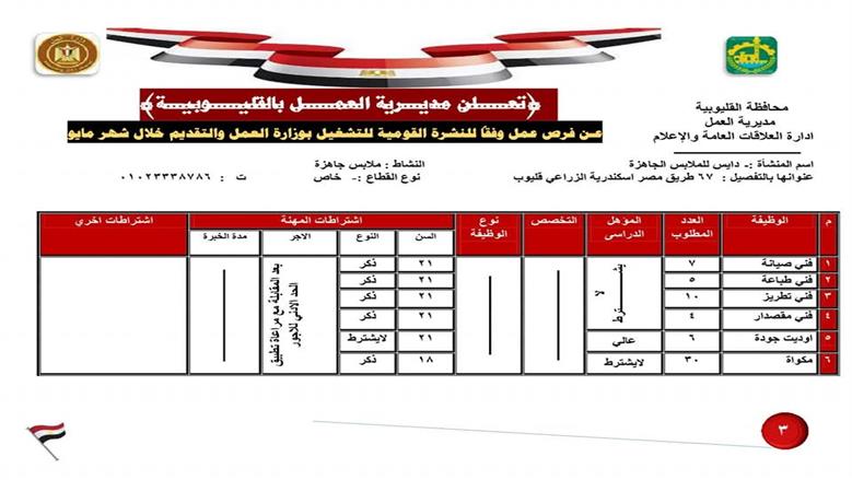 وظائف العمل بالقليوبية 