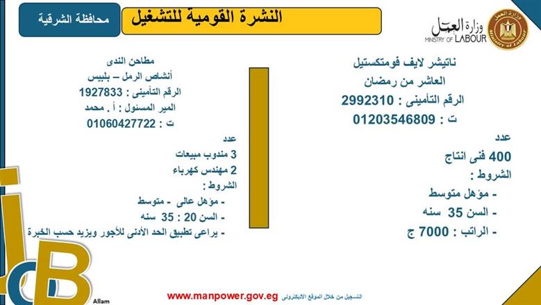 فرص عمل بمحافظة الشرقية