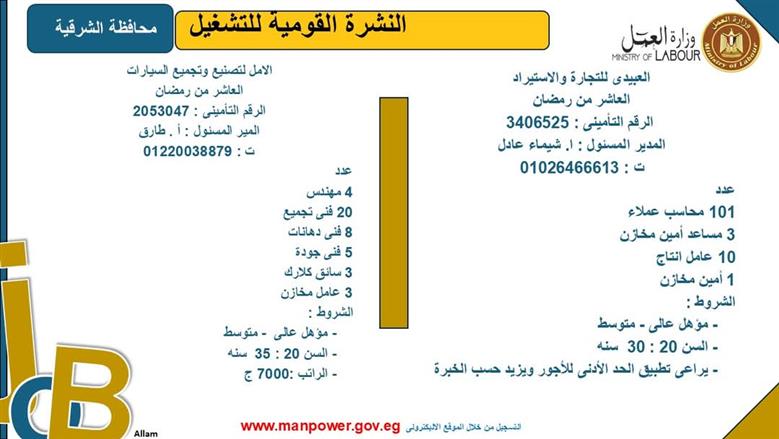 فرص عمل بمحافظة الشرقية