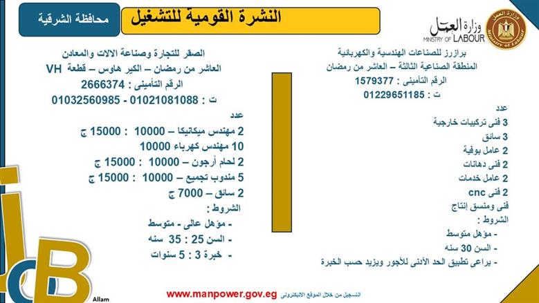 فرص عمل بمحافظة الشرقية