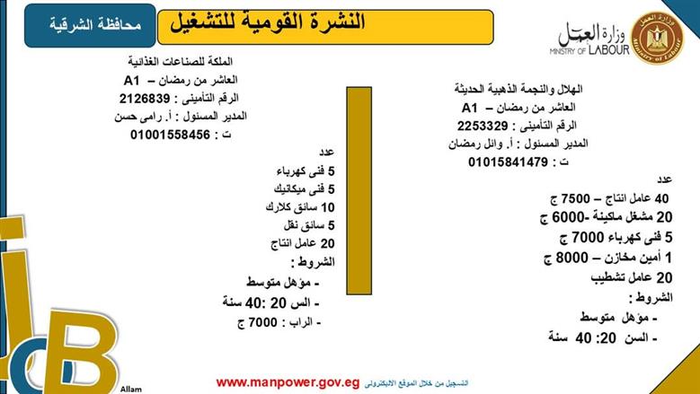 فرص عمل بمحافظة الشرقية