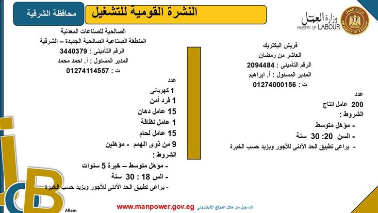 فرص عمل بمحافظة الشرقية
